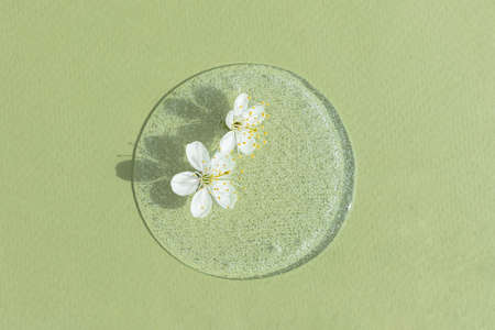 A drop of transparent cosmetic gel or serum with white flowers on a green background. The concept of natural cosmetics. top view.の写真素材