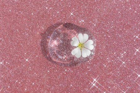 Transparent hyaluronic gel or serum with a white flower on a pink shining background. The concept of natural cosmetics. top view.の写真素材