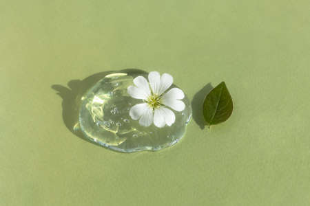 A drop of transparent cosmetic gel or serum with hyaluronic acid with a white flower and leaf on a green background. The concept of natural cosmetics. top view.の写真素材