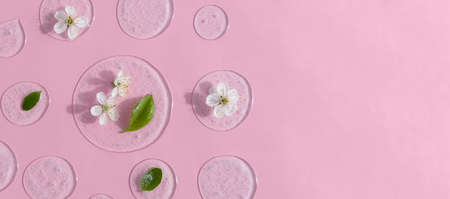 Drops of transparent cosmetic gel or serum with white flowers and green leaves on a pink background. The concept of natural cosmetics. Banner.の写真素材