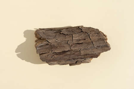 Abstract minimal tree bark scene. Natural wooden podium on beige background. Concept natural cosmetics with organic components. Show case, display case.の写真素材