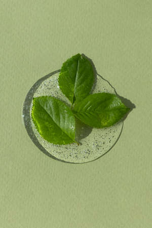 A drop of transparent cosmetic gel or serum with young leaves of a plant on a green background. The concept of natural cosmetics. top view.の写真素材
