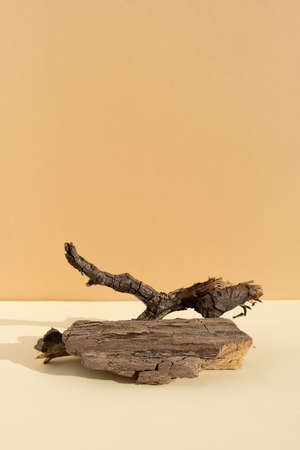 Abstract minimalistic scene from the bark of a dry branch tree. Natural wooden podium on beige background. Concept natural cosmetics with organic components. Showcase, display caseの写真素材