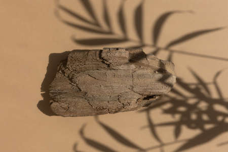 Abstract minimal tree bark scene. Natural wooden podium on beige background with a shadow of palm leaves. Concept natural cosmetics with organic components. Showcase, display case.の写真素材