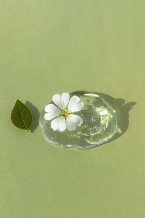 A drop of transparent cosmetic gel or serum with hyaluronic acid with a white flower and leaf on a green background. The concept of natural cosmetics. top view.の写真素材