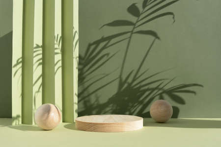 Geometric wooden podium on an abstract green background with a shadow of palm leaves. A scene with a geometric background. Backdrop for the product presentation.の写真素材