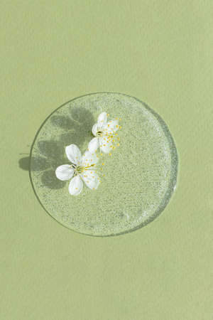 A drop of transparent cosmetic gel or serum with white flowers on a green background. The concept of natural cosmetics. top viewの写真素材