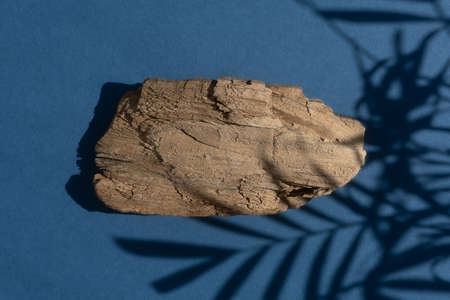 Abstract minimal tree bark scene. Natural wooden podium on blue background with a shadow of palm leaves. Concept natural cosmetics with organic components. Show case, display case.の写真素材