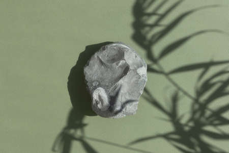 A stone gray podium on a green background with a shadow from the leaves of a palm tree. Showcase for product promotion, beauty, natural eco cosmeticの写真素材