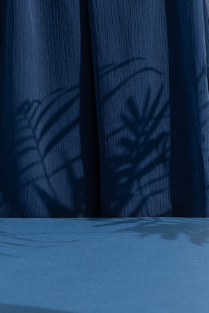 A scene with a blue curtain and the shadow of palm leaves. Premium podium for the presentation of a cosmetic product. empty showcase.の写真素材