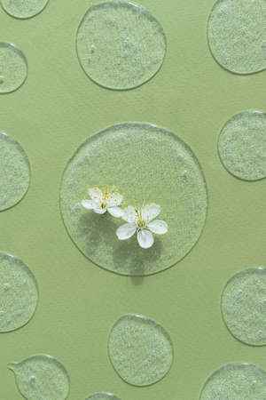Drops of transparent cosmetic gel or serum with white flowers on a green background. The concept of natural cosmetics. top view.の写真素材