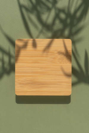 Abstract minimal scene of a geometrical form. Wooden podium on a green background with a shadow of tropical palm leaves. Scene to show cosmetic products. Showcase, display case.の写真素材