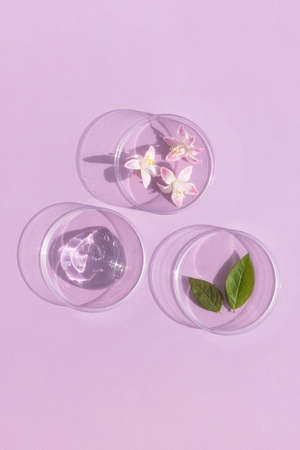 Facial serum or gel with hyaluronic acid, flowers and leaves in Petri dishes on a pink background. Concept of cosmetics laboratory researches, wellness, beauty and natural cosmetics.の写真素材