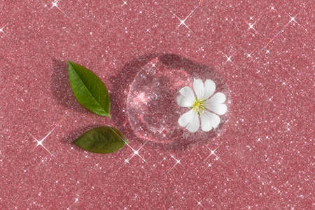 A drop of transparent hyaluronic gel or serum with a white flower and green leaves on a pink shining background. The concept of natural cosmetics. Top view.の写真素材