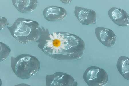 Drops of transparent cosmetic gel or serum with hyaluronic acid with chamomile flower on a blue background. The concept of natural cosmetics. cosmetic texture. top view.の写真素材
