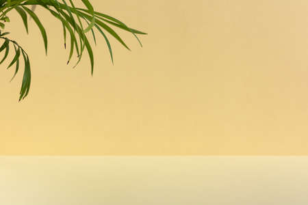 Minimal abstract scene for the presentation of a cosmetic product. Premium podium with tropical palm leaves on a beige background. Show case, display case.の写真素材
