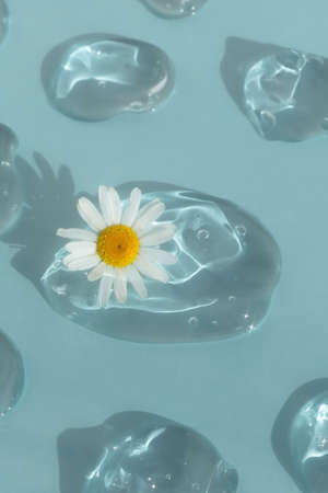 Drops of transparent cosmetic gel or serum with hyaluronic acid with chamomile flower on a blue background. The concept of natural cosmetics. cosmetic texture. top view.の写真素材