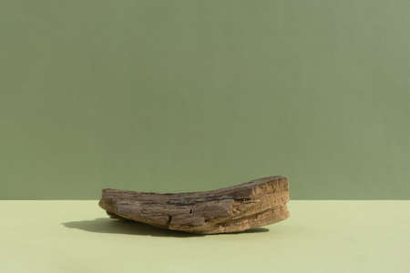 Abstract minimal tree bark scene. Natural wooden podium on green background. Concept natural cosmetics with organic components. Showcase, display caseの写真素材