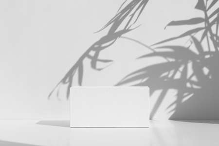 Premium white wooden podium, pedestal with a shadow of tropical palm leaves on a white background. Minimal abstract scene for the presentation of a cosmetic product. Showcase, display caseの写真素材