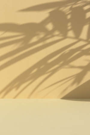 Minimal abstract background for the presentation of a cosmetic product. Premium podium with a shadow of tropical palm leaves on a beige backdrop. Showcase, display case.の写真素材