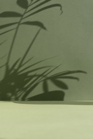 Minimal abstract background for the presentation of a cosmetic product. Premium podium with a shadow of tropical palm leaves on a green backdrop. Show case, display case.の写真素材