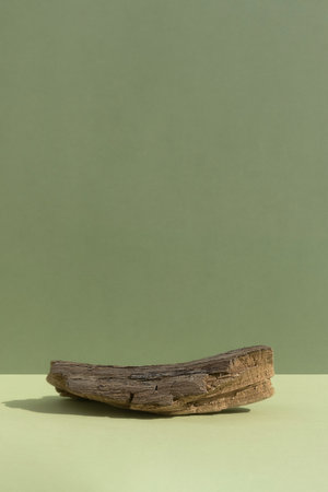 Abstract minimal tree bark scene. Natural wooden podium on green background. Concept natural cosmetics with organic components. Showcase, display caseの写真素材