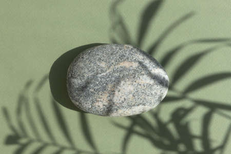 A stone gray podium on a green background with a shadow from the leaves of a palm tree. Showcase for product promotion, beauty, natural eco cosmetic. top view.の写真素材