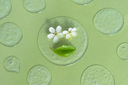 Drops of transparent cosmetic gel or serum with white flowers and a leaf on a green background. The concept of natural cosmetics. top viewの写真素材