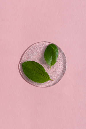 A drop of transparent cosmetic gel or serum with hyaluronic acid with green leaves on a pink background. The concept of natural cosmetics. top view.の写真素材