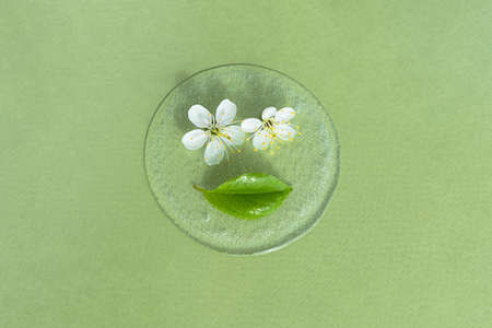 A drop of transparent cosmetic gel or serum with white flowers and a leaf on a green background. The...