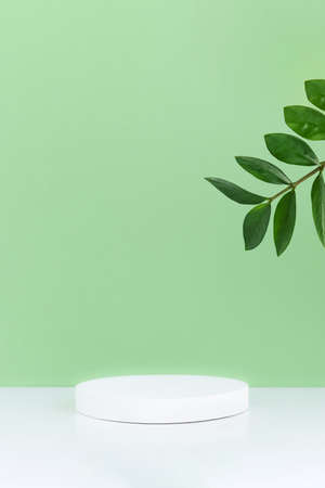 Pedestal podium on a white table and pastel green background with green leaves. Minimal abstract background for the presentation of a cosmetic product. Products platform display mockup.の写真素材