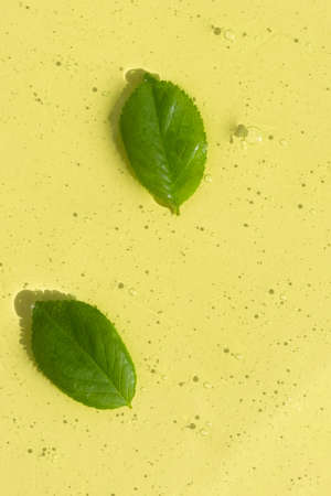 The texture of a transparent cosmetic gel or serum of yellow color with oxygen bubbles with green leaves. The concept of natural cosmetics. top view.の写真素材