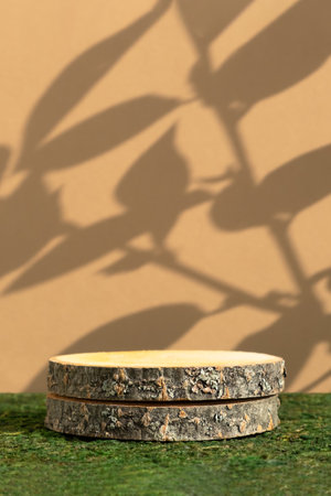 Wooden slice podium on green moss on beige background with leaves shadows. Premium empty scene for product promotion, beauty, natural eco cosmetic. Show case, display case.の写真素材