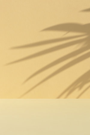 Minimal abstract background for the presentation of a cosmetic product. Premium podium with a shadow of tropical palm leaves on a beige backdrop. Showcase, display case.の写真素材