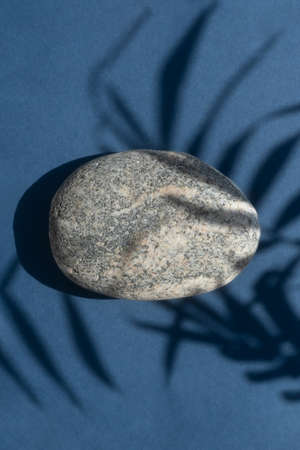 A stone gray podium on a blue background with a shadow from the leaves of a palm tree. Showcase for product promotion, beauty, natural eco cosmetic.の写真素材