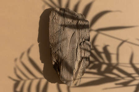 Abstract minimal tree bark scene. Natural wooden podium on a beige background with a shadow of palm leaves. Concept natural cosmetics with organic components. Showcase, display case. top viewの写真素材