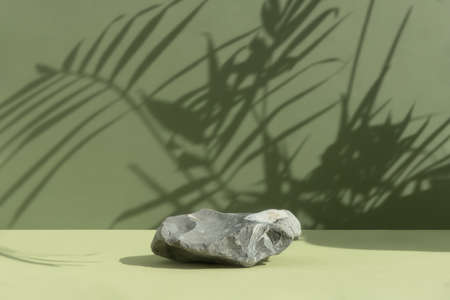 A stone gray podium on a green background with a shadow from the leaves of a palm tree. Showcase for product promotion, beauty, natural eco cosmetic.の写真素材