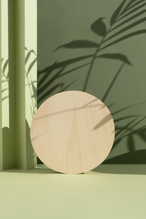 Wooden podium on an abstract green background with a shadow of palm leaves. A scene with a geometric background. Backdrop for the product presentation.の写真素材