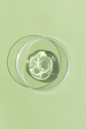 Hyaluronic acid serum or gel for the face in Petri dish on a green background. Concept of cosmetics laboratory researches, wellness and beauty. cosmetic texture. top view.の写真素材