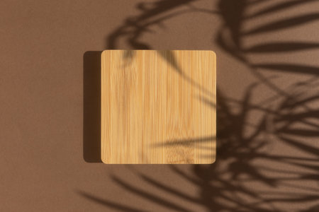 Wooden podium on a brown background with a shadow of tropical palm leaves. Abstract minimal scene of a geometrical shape. Scene to show cosmetic products. Empty showcase, display caseの写真素材