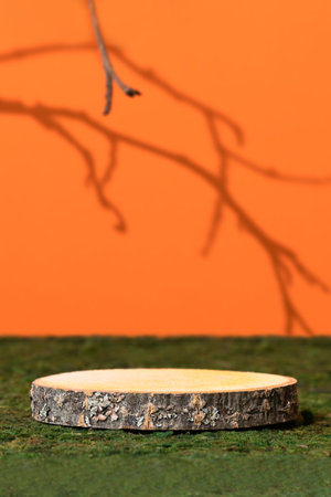 Wooden slice podium on green moss on an orange background with shadows of tree branches. Premium empty scene for product promotion, beauty, natural eco cosmetic. Show case, display case.の写真素材