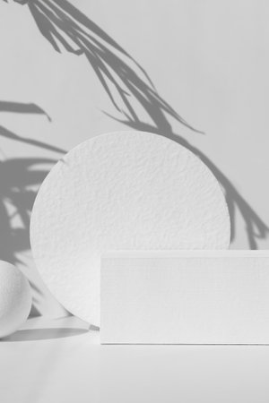 Wooden white scenes of different geometric shapes with a shadow of tropical palm leaves on a white background. Premium podium for advertising your product. Showcase, display case.の写真素材