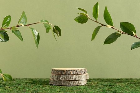Wooden slice podium and green leaves on a green moss background. Premium scene for product promotion, beauty, natural eco cosmetic. Empty showcase, display case.の写真素材