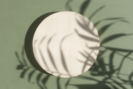 Abstract minimal scene of a geometrical form. A cylindrical wooden podium on a green background with a shadow of tropical palm leaves. Empty scene to show cosmetic products. Showcase, display caseの写真素材