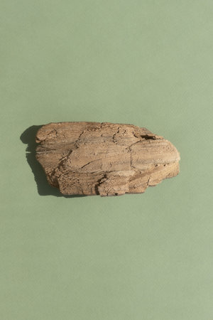 Abstract minimal tree bark scene. Natural wooden podium on a green background. Concept natural cosmetics with organic components. Show case, display case. top viewの写真素材