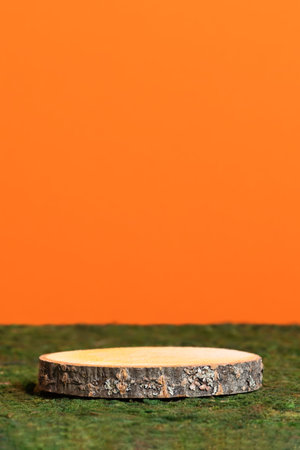 Wooden slice podium on green moss on an orange background. Premium scene for product promotion, beauty, natural eco cosmetic. Empty showcase, display case.の写真素材