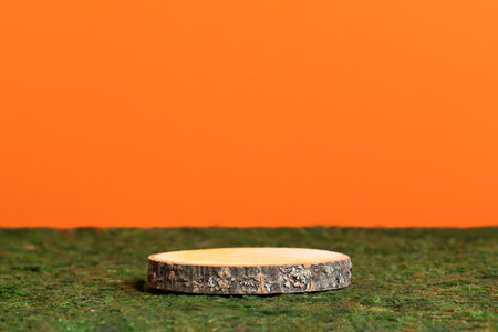 Wooden slice podium on green moss on an orange background. Premium scene for product promotion, beauty, natural eco cosmetic. Empty showcase, display case.の写真素材