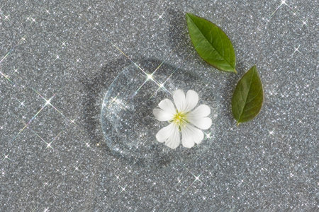 A drop of transparent hyaluronic gel or serum with a white flower and green leaves on a silver shining background. The concept of natural cosmetics. top view.の写真素材