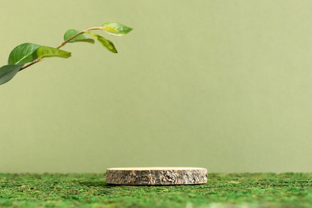 Wooden slice podium and green leaves on a green moss background. Premium scene for product promotion, beauty, natural eco cosmetic. Empty showcase, display case.の写真素材