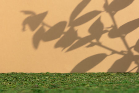 Premium empty scene on green moss on beige background with leaves shadows. Podium for product promotion, beauty, natural eco cosmetic. Showcase, display case.の写真素材
